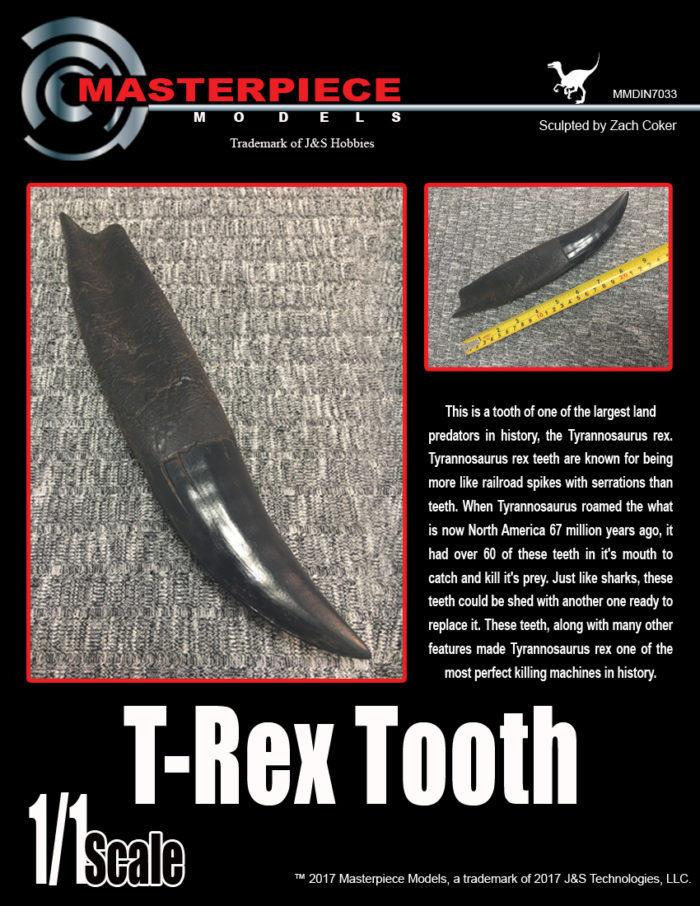 1 to 1 scale T-REX TOOTH sculpted by Zach Coker