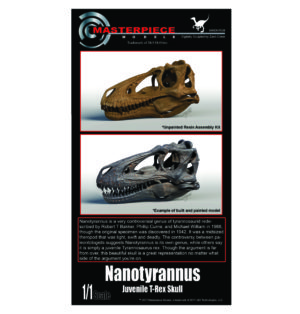 Nanotyrannus/juvenile T-Rex resin assembly kit.