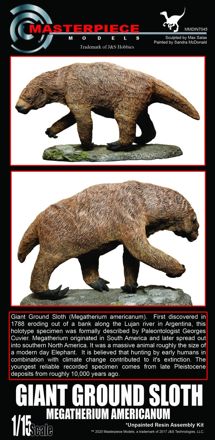 Giant Ground Sloth Megatherium Americanum
